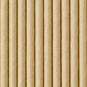 Kraft Paper straws Set