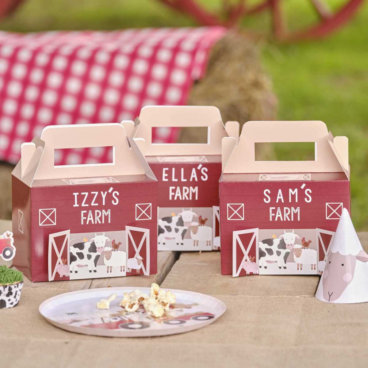 Customisable Barn Party Box - Image 3